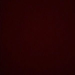 Meet your Posher, Reyna